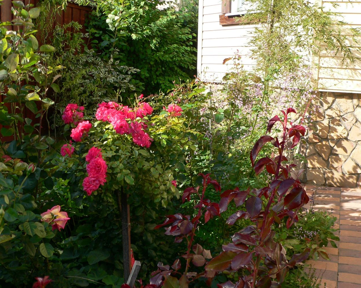 Проект Горки 2